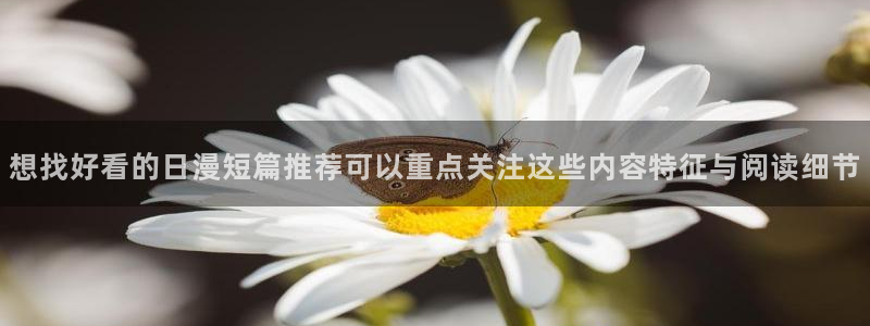 梦漫漫画最新章节更新