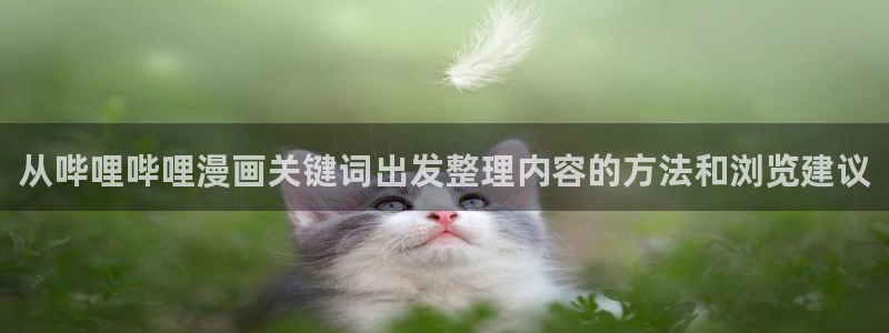 梦漫漫画APP漫画大全:从哔哩哔哩漫画关键词出发整理内容的方法和浏览建议