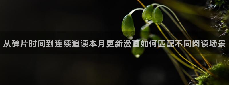 梦漫漫画APP漫画大全
